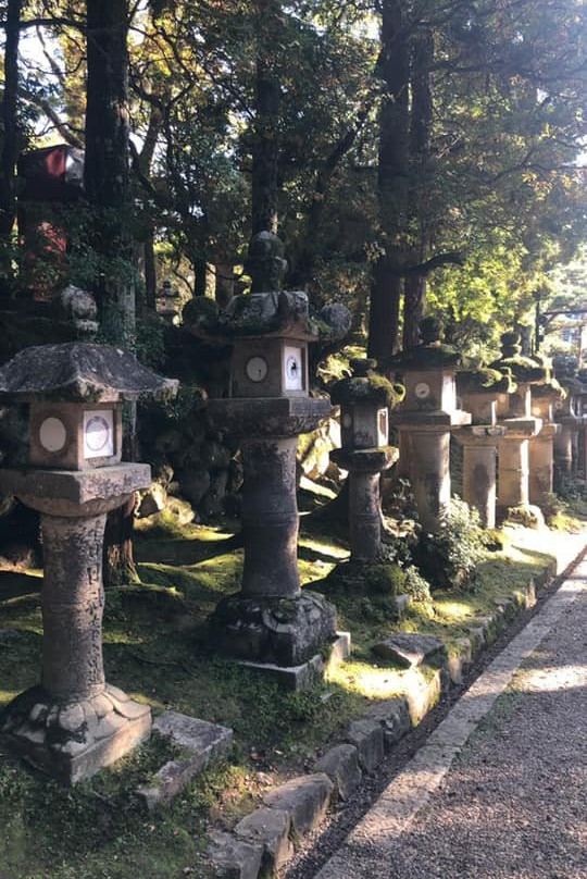 Kasuga Shrine-Osu必去景点