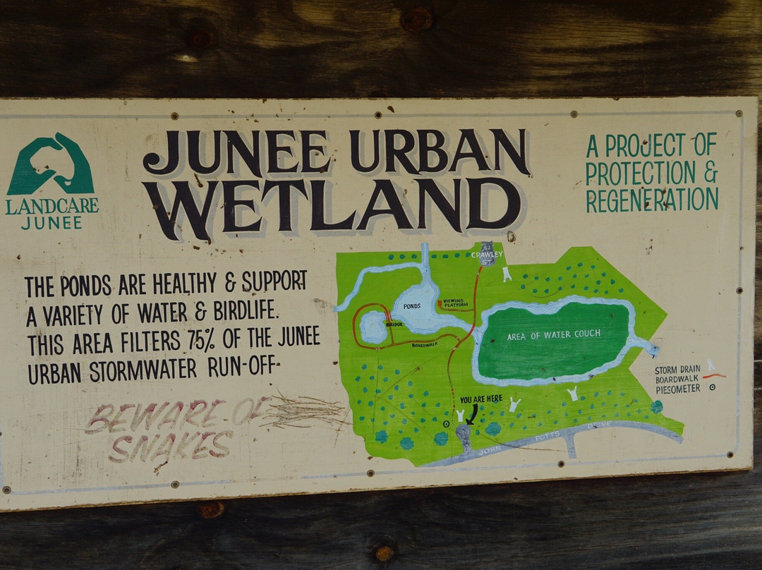Junee Urban Wetland-Junee必去景点