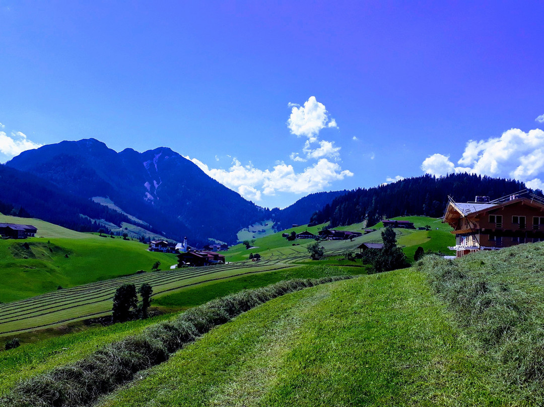 Ski Juwel Alpbachtal Wildschonau-高山溪必去景点