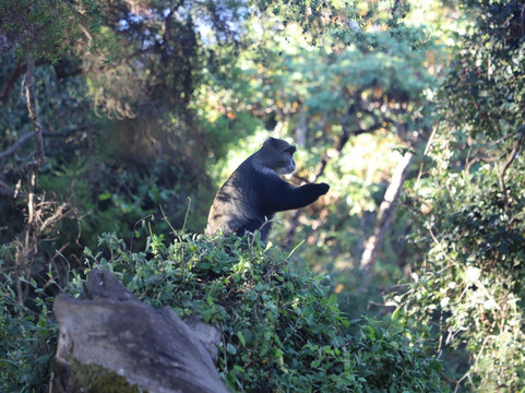 Wild Life Oasis Tours-阿鲁沙必去景点