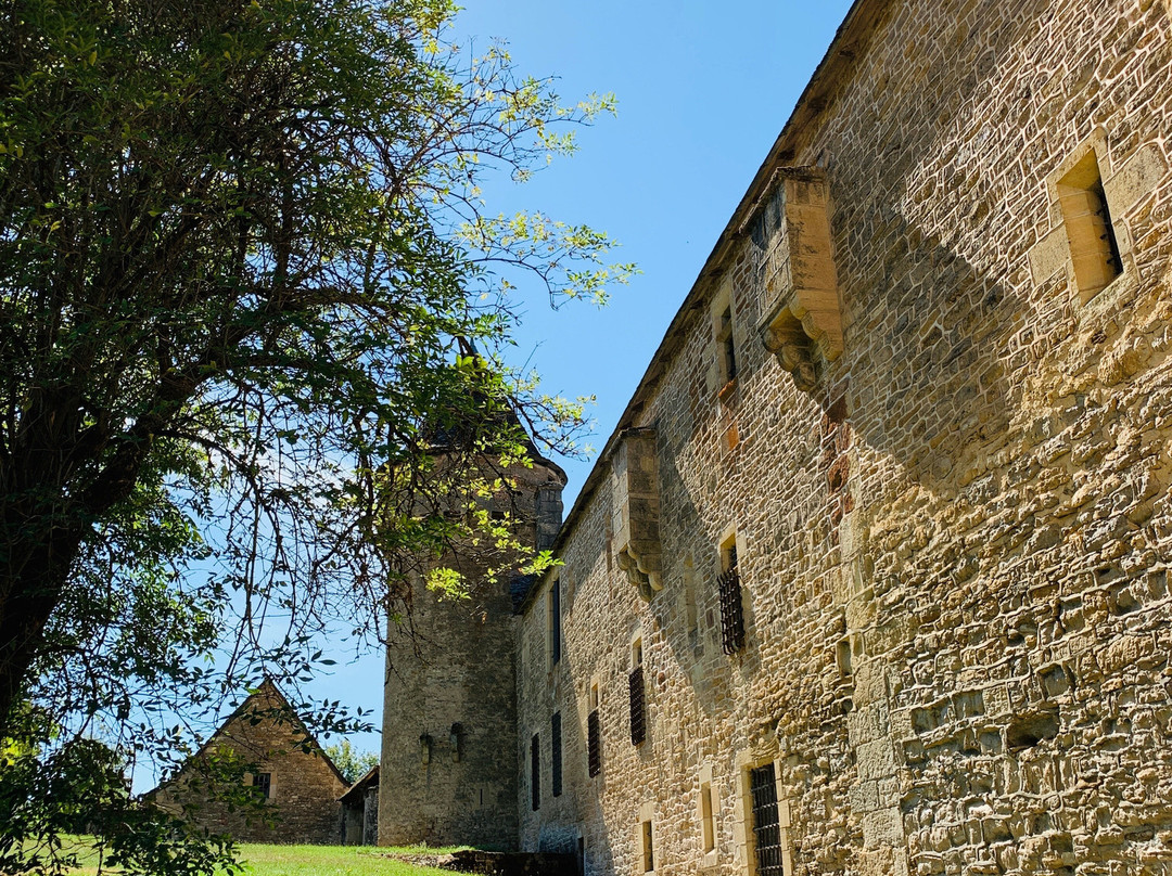 Château des Bourines-Bertholene必去景点