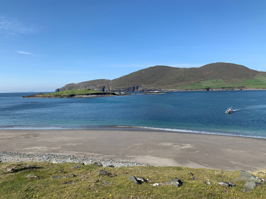 Royal Hotel Valentia主图