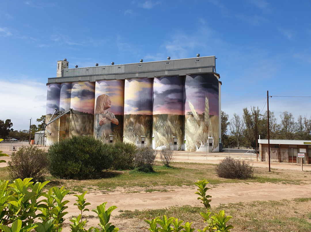 Viterra’s Kimba Silos-Kimba必去景点