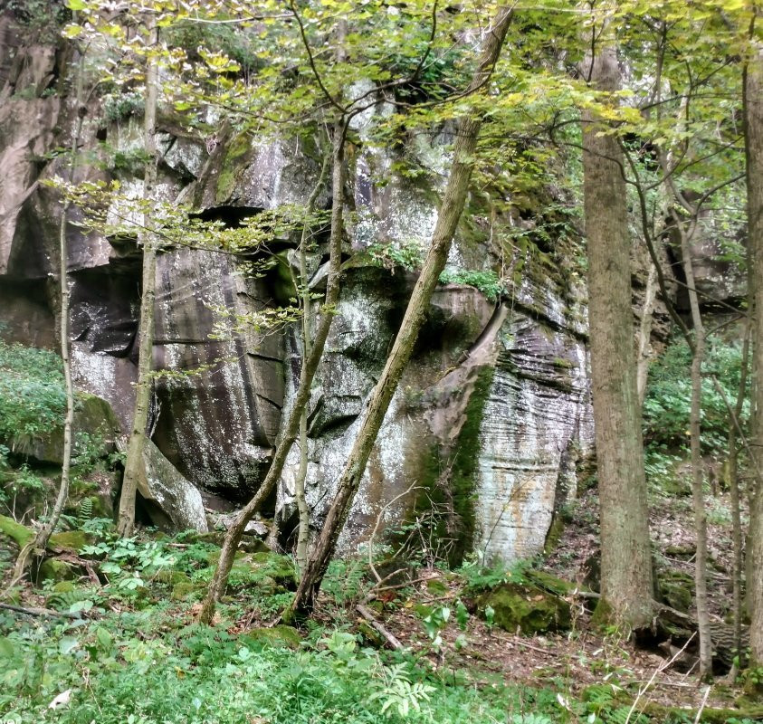 Linn Run State Park景点图片