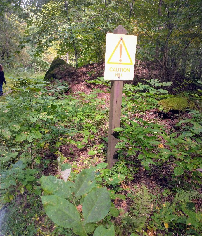 Linn Run State Park景点图片