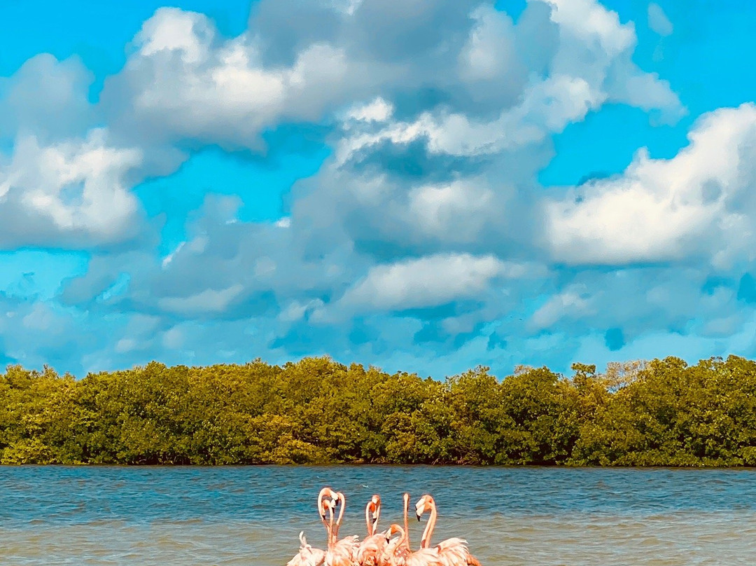 Yuum Ha Boutique Hotel主图