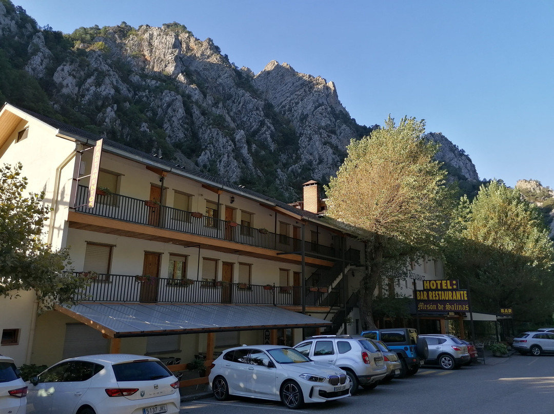 Salinas旅游攻略图片