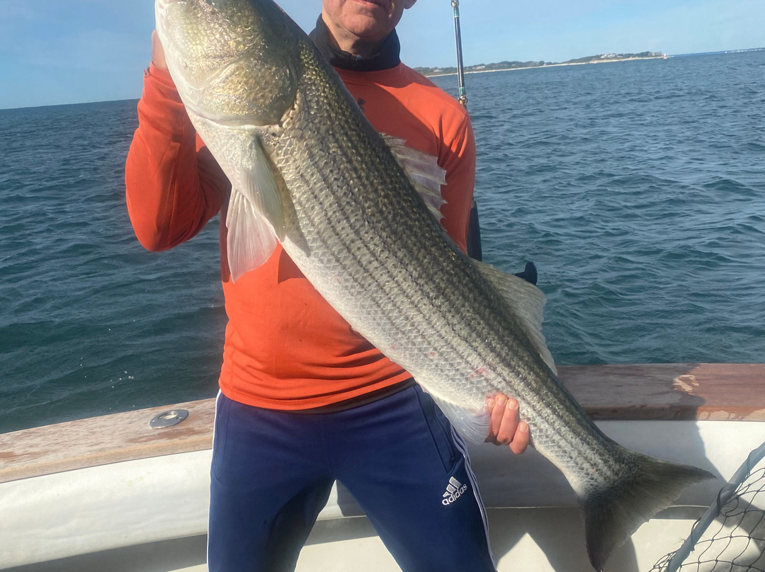 Bonita II Sportfishing Charters-守望山必去景点