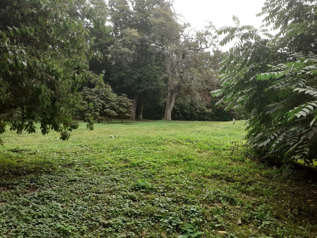 S.N. Khudekova Manor-Yerlino必去景点