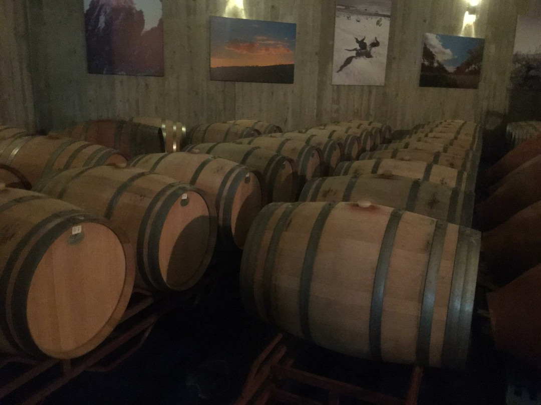 Bodega Cerron景点图片