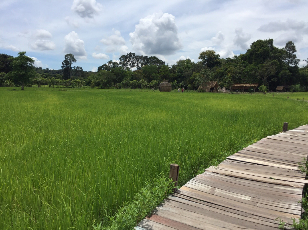 Tung Na Mui Bridge景点图片