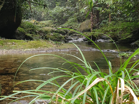 Ha Giang Primitive Tour-Viet Quang必去景点