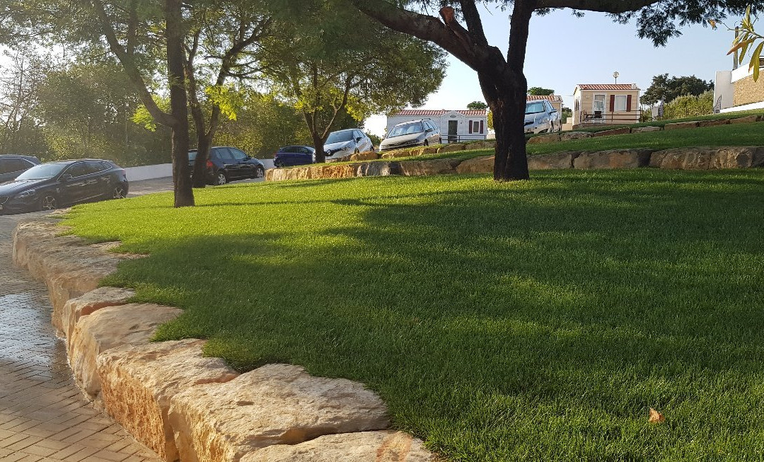 Solar da Portela主图