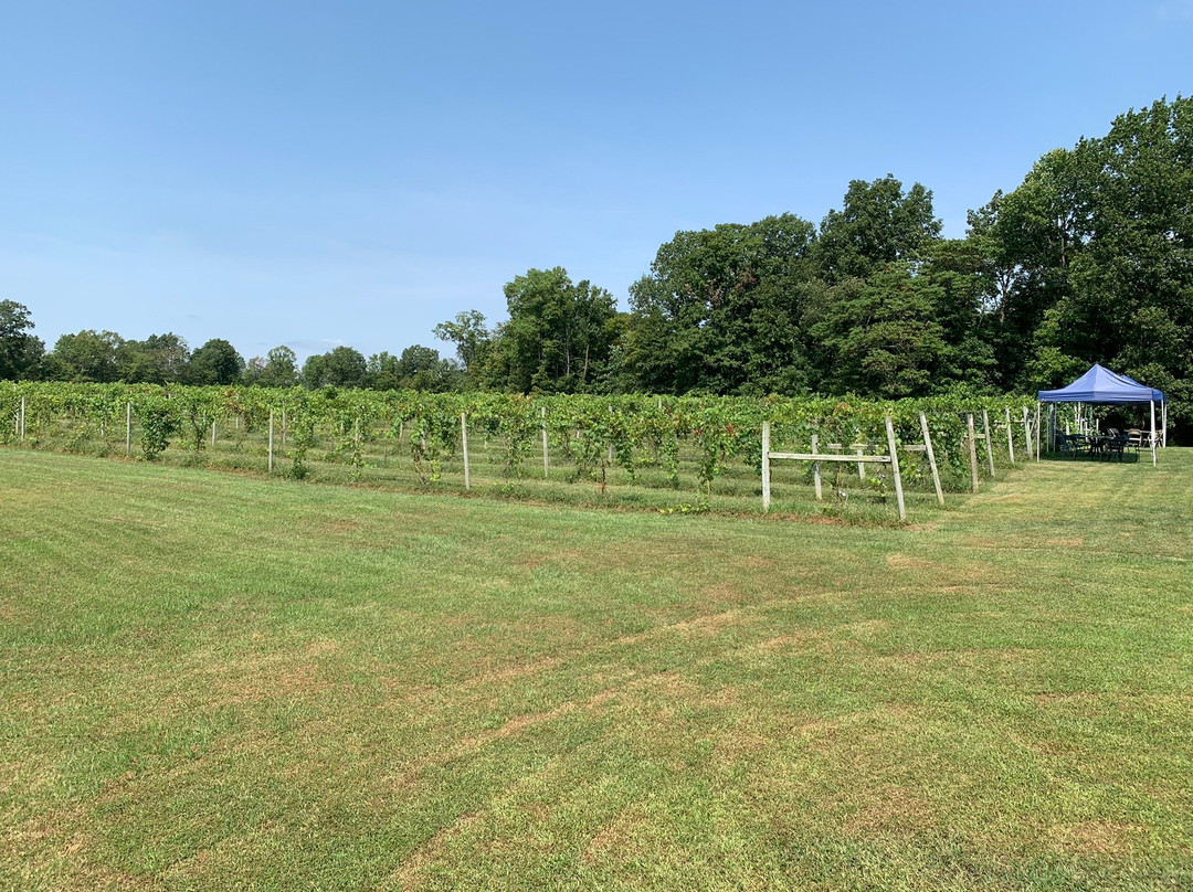 Butler Winery-布卢明顿必去景点