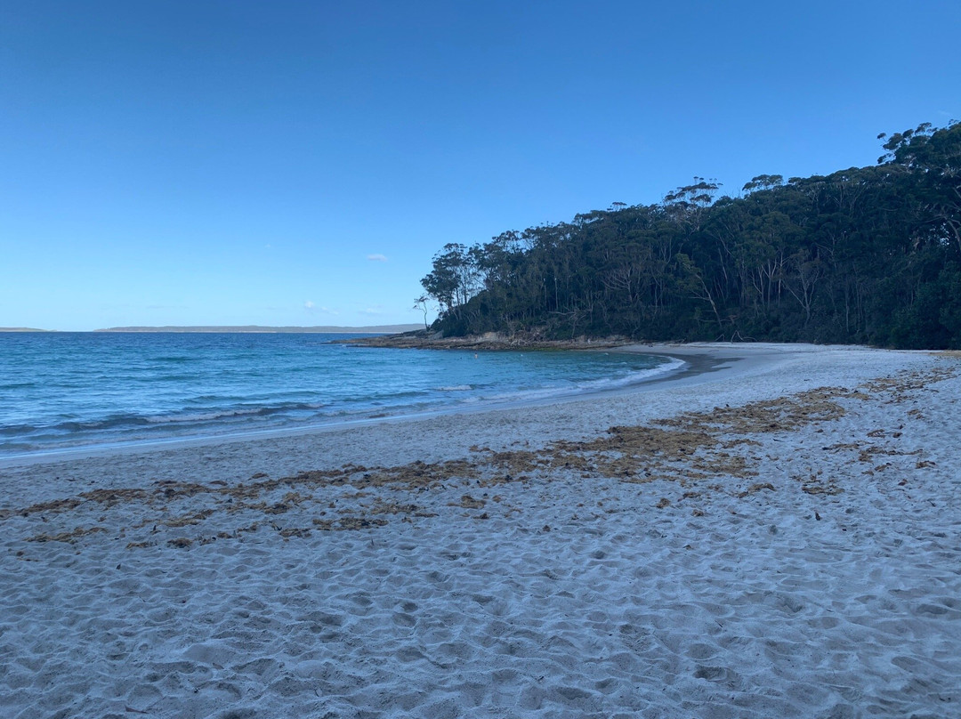 Blenheim Beach景点图片
