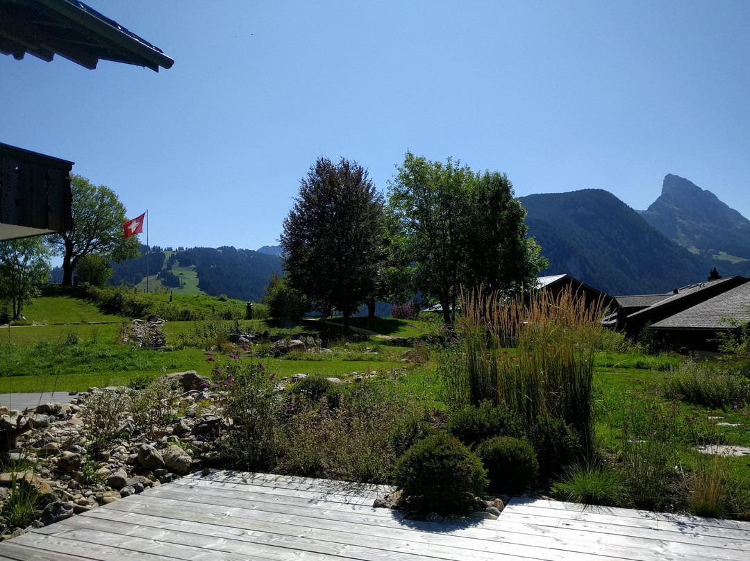 HUUS Gstaad Hotel主图