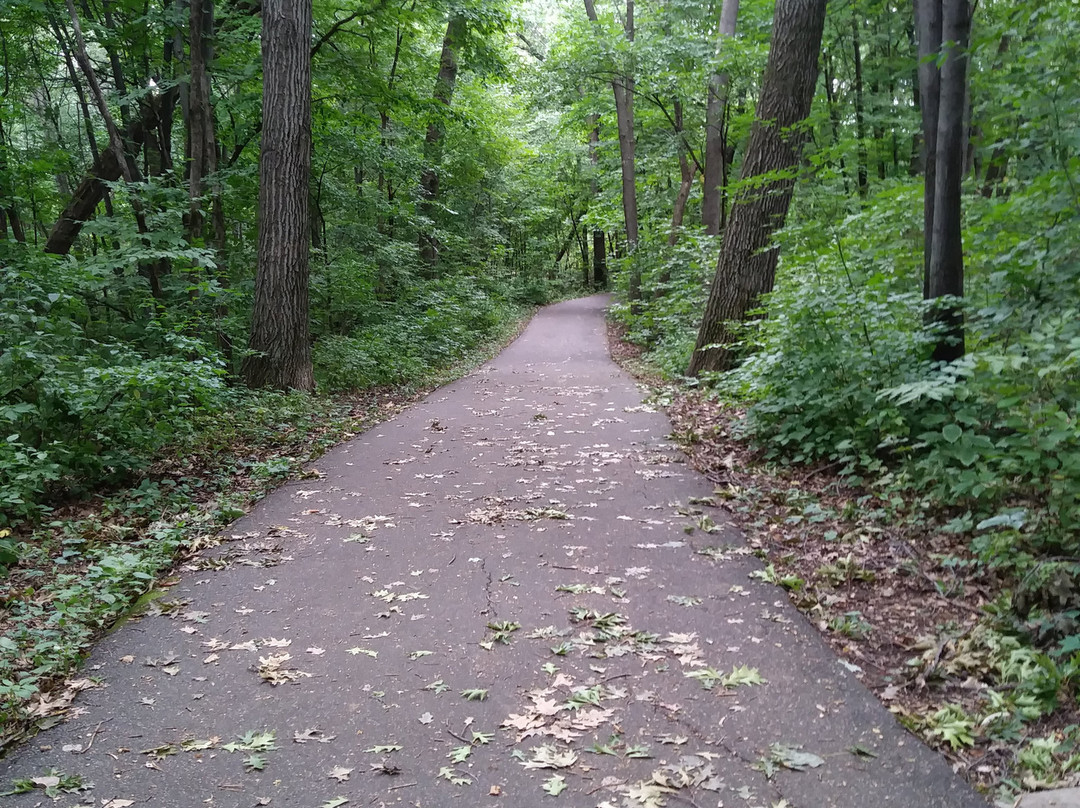 Maple Creek Park-Plymouth必去景点