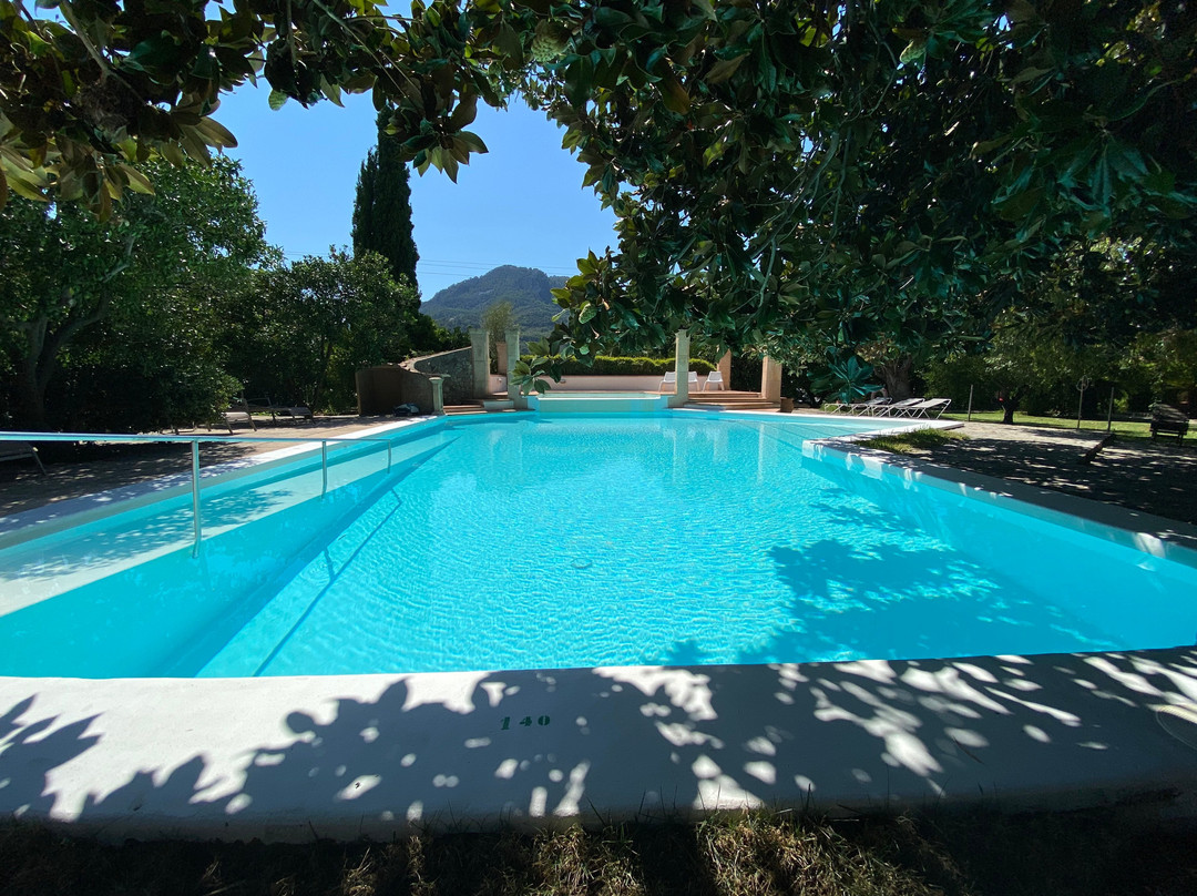 Finca Ca's Sant主图