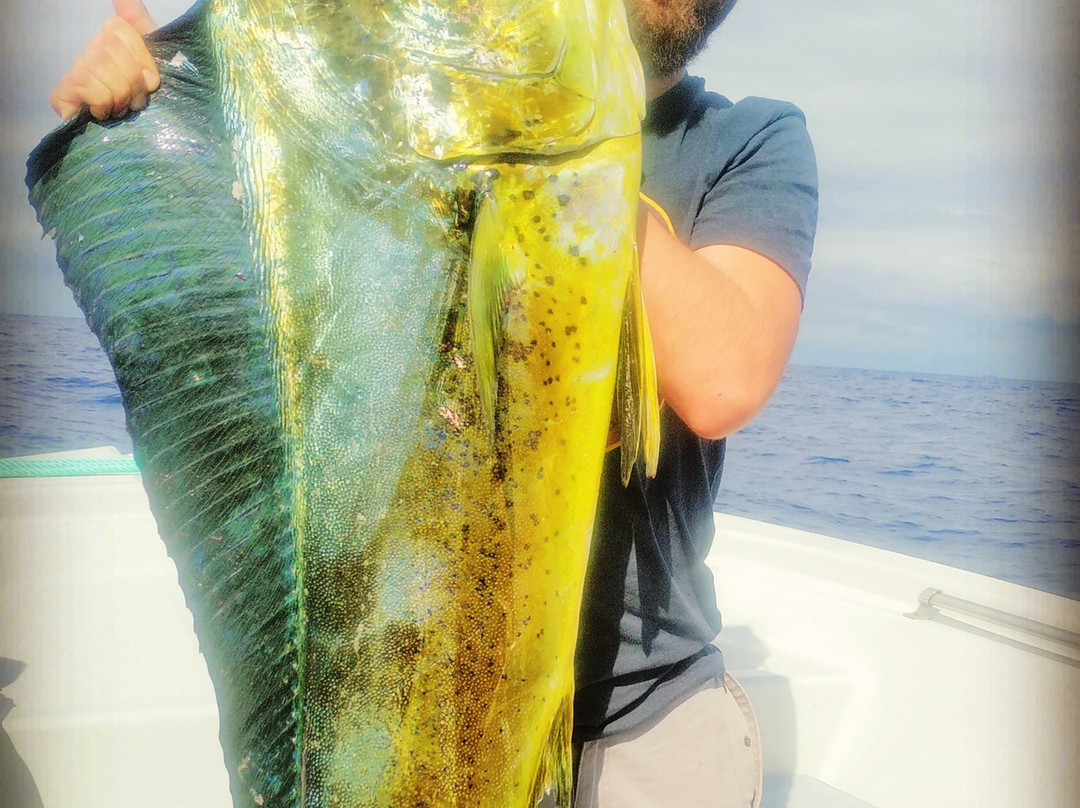 Plage de Malendure-Bouillante必去景点