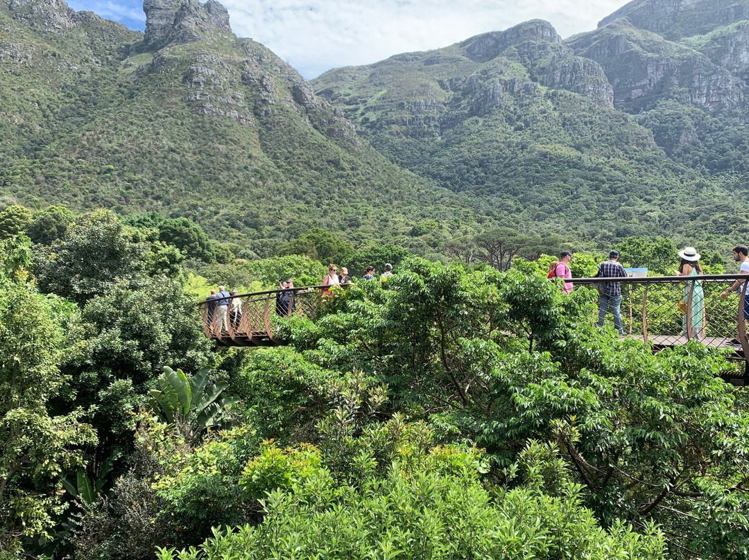 Abington Tours-开普敦中心区必去景点