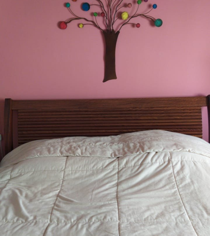 Jo Art Propria-Sao Francisco Xavier必去景点