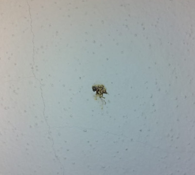 伊尔帕拉吉欧黎莱斯别墅酒店