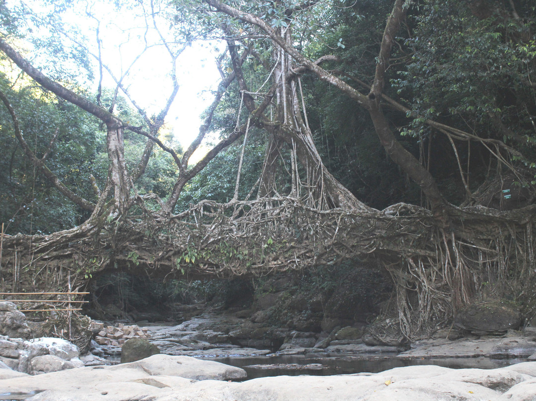 Mawlynnong Village-Mawlynnong必去景点