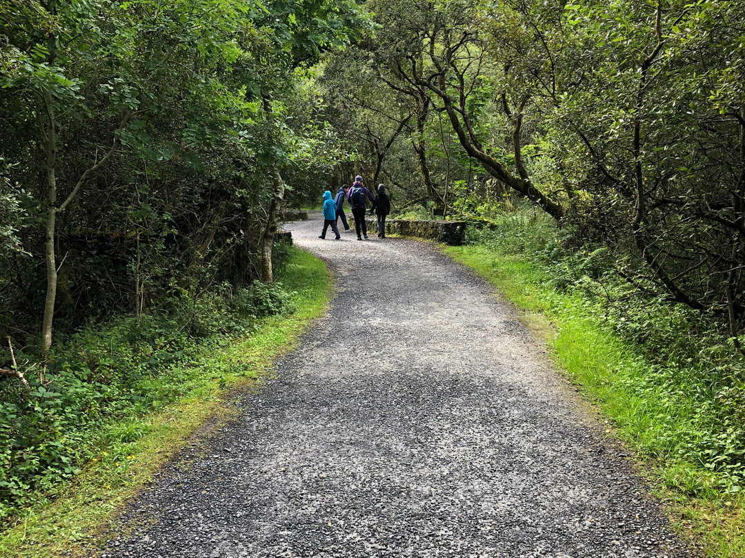 Connemara National Park & Visitor Centre景点图片