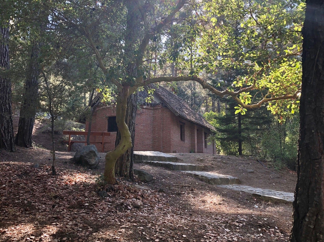 Platania Picnic Site景点图片