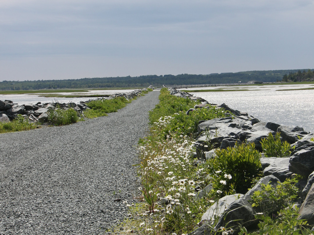 Salt Marsh Trail-Cole Harbour必去景点