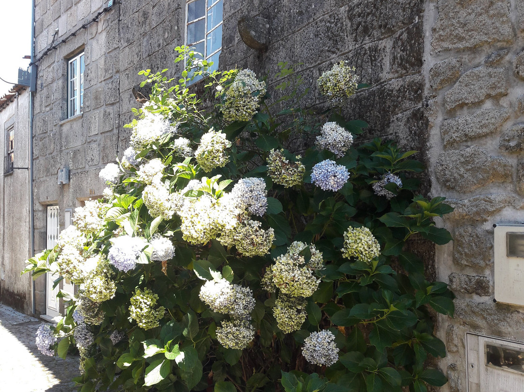 Judiaria de Trancoso景点图片