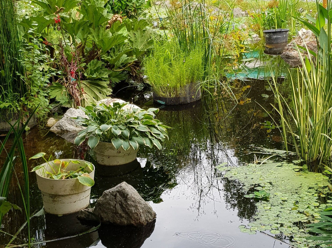 Feeriland-Veyrac必去景点