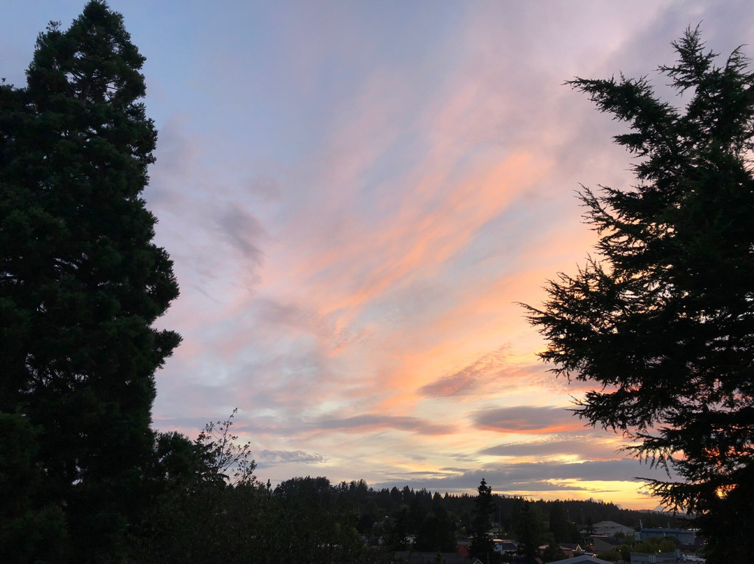 Harrison House Suites主图