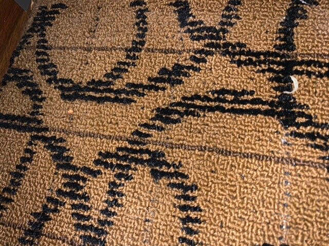 Quality Inn & Suites主图