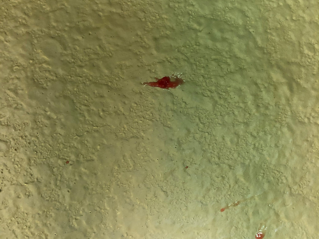 Hyatt Place Uncasville / Casino Area主图