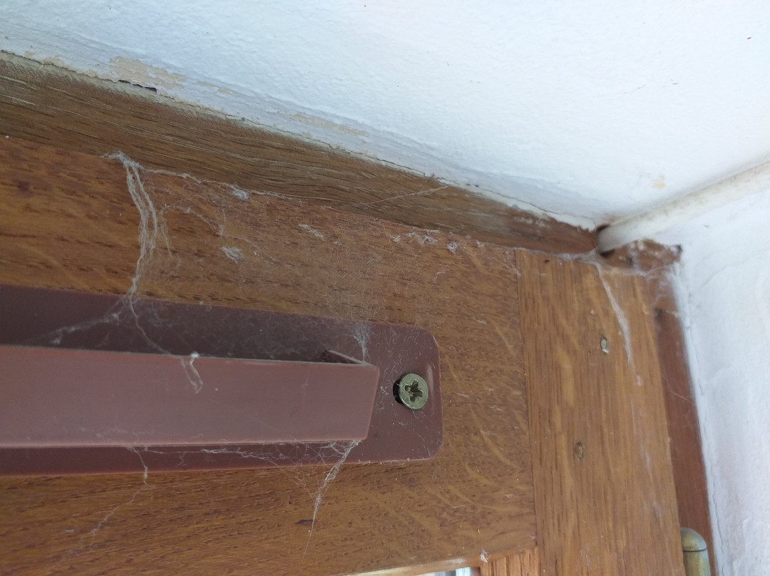 圣文森特酒店主图