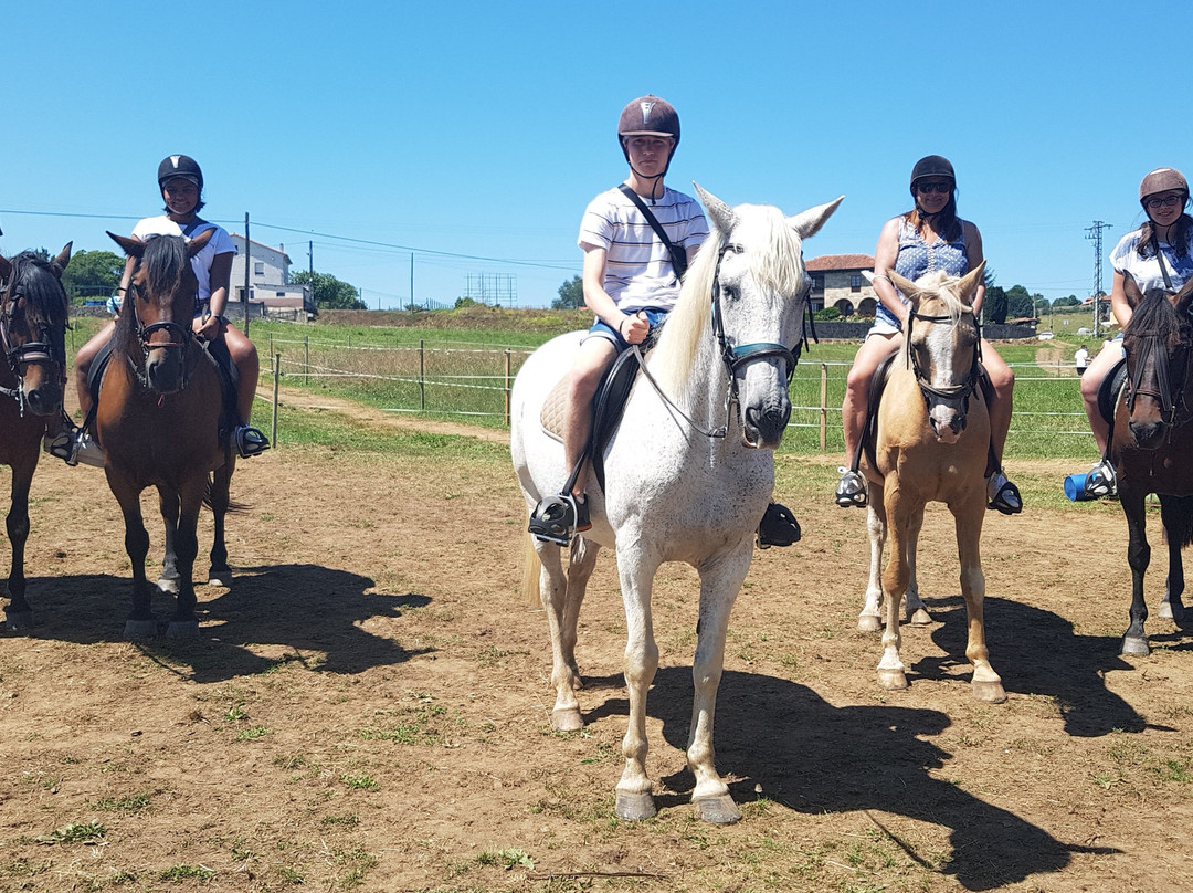 Paseos a Caballo La Robleda景点图片