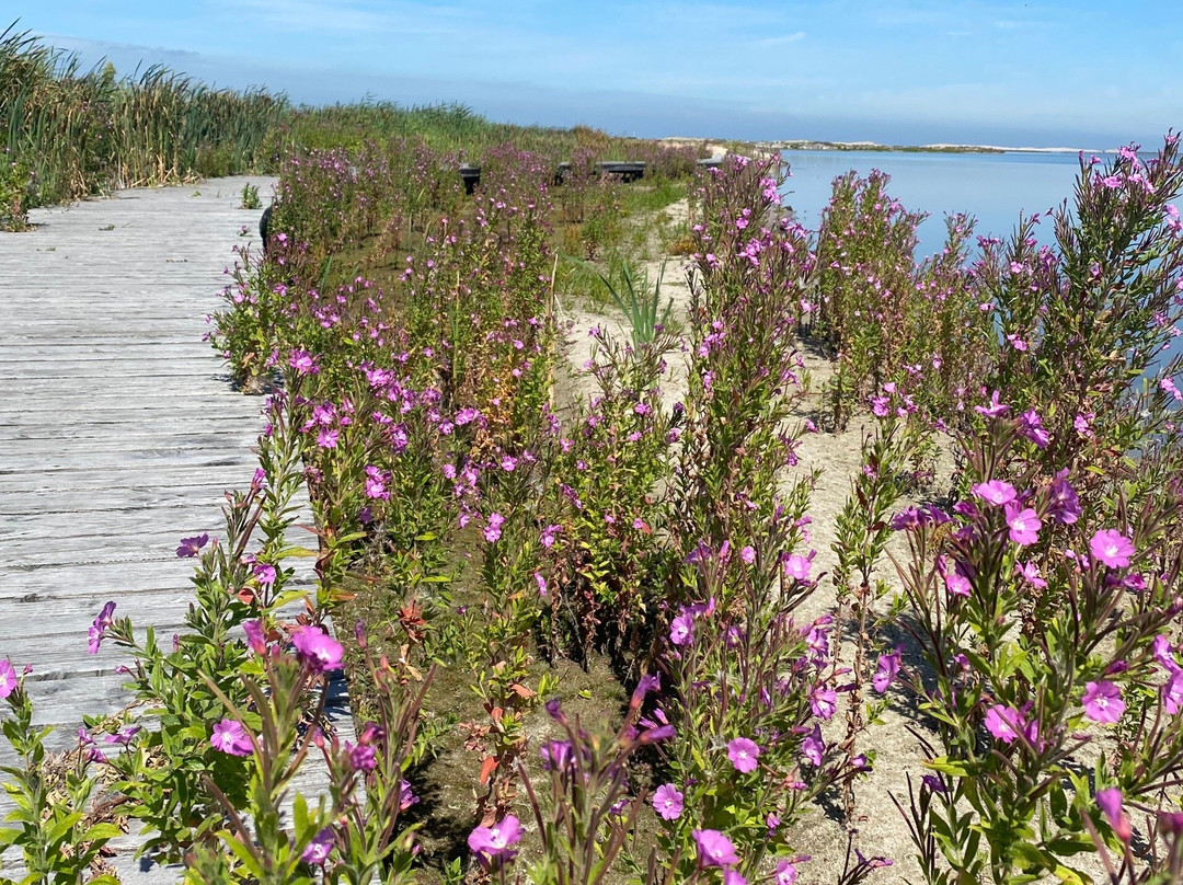 Marker Wadden