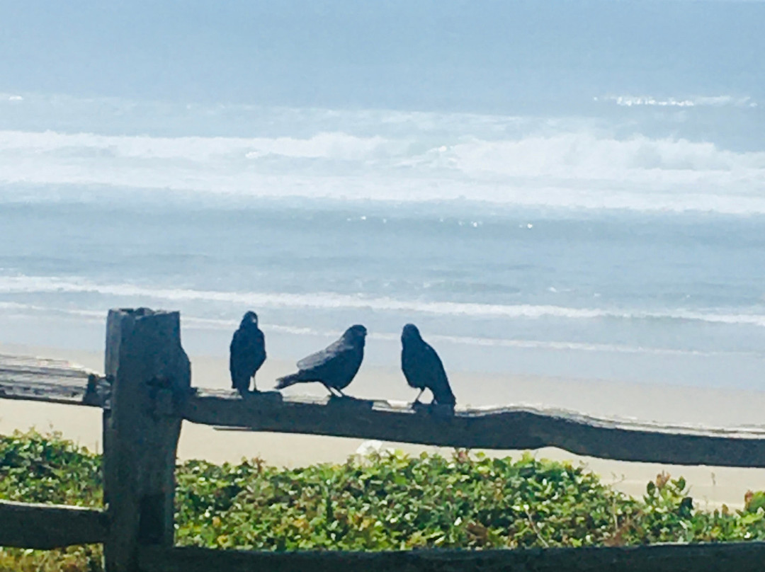 Edgewater Cottages主图