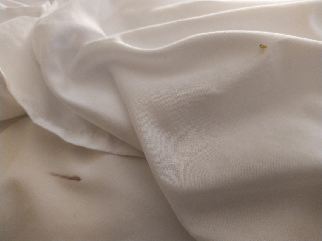 Comfort Suites主图