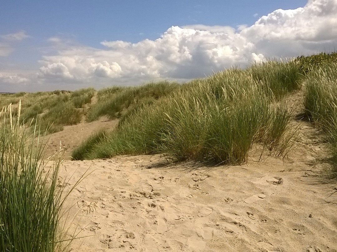 Dune du Perroquet景点图片