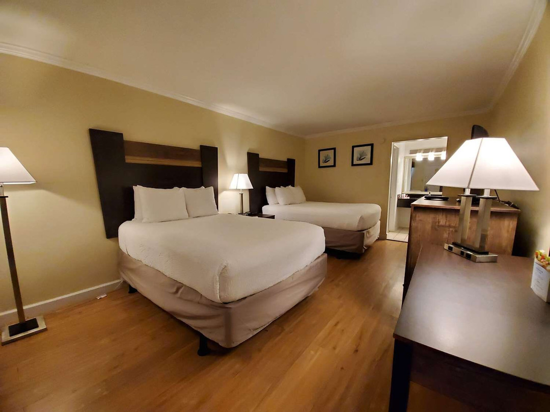 威尔明顿戴斯酒店主图