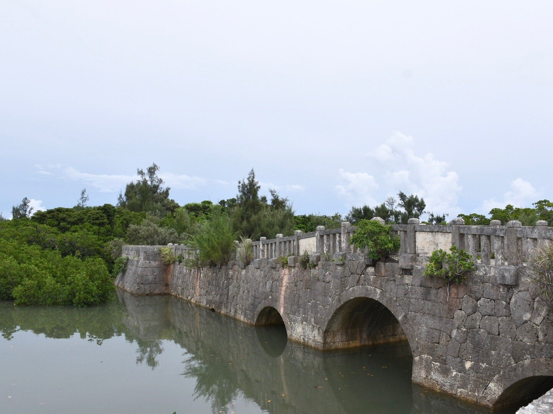 Shimajiri Mangrove Forests景点图片