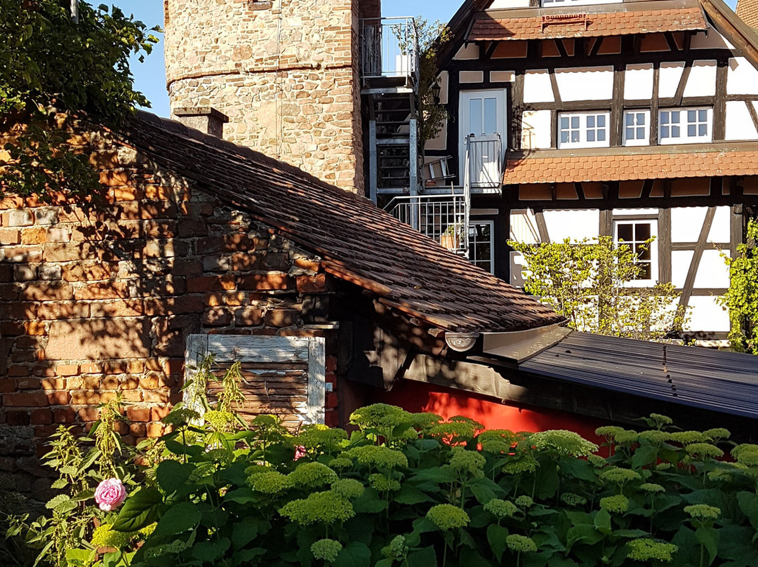 Hotel Die Reichsstadt主图