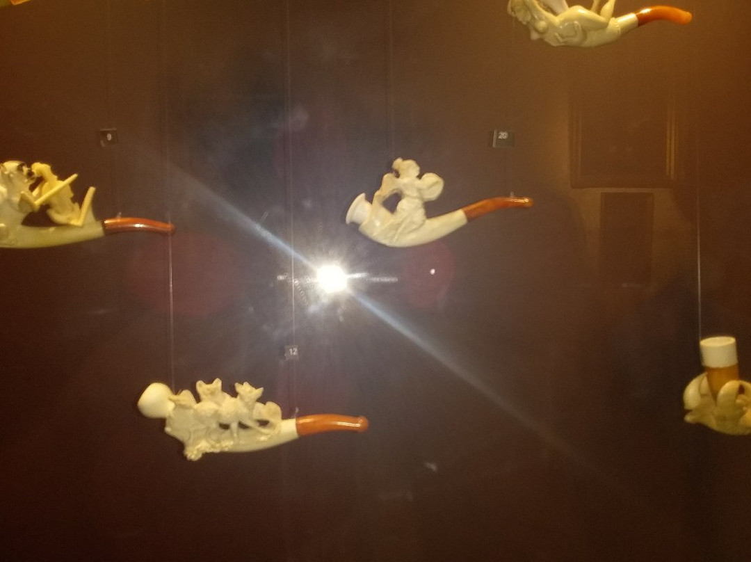 Musée du Tabac景点图片