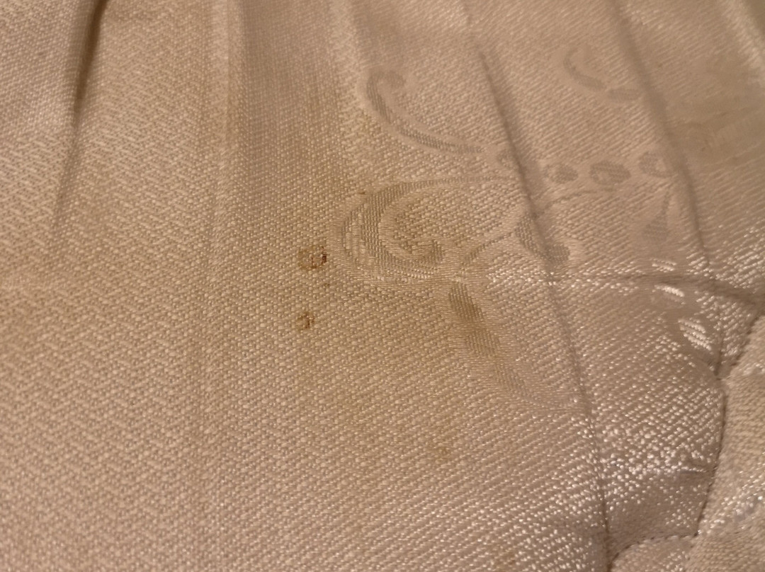 Silver Birches Resort主图