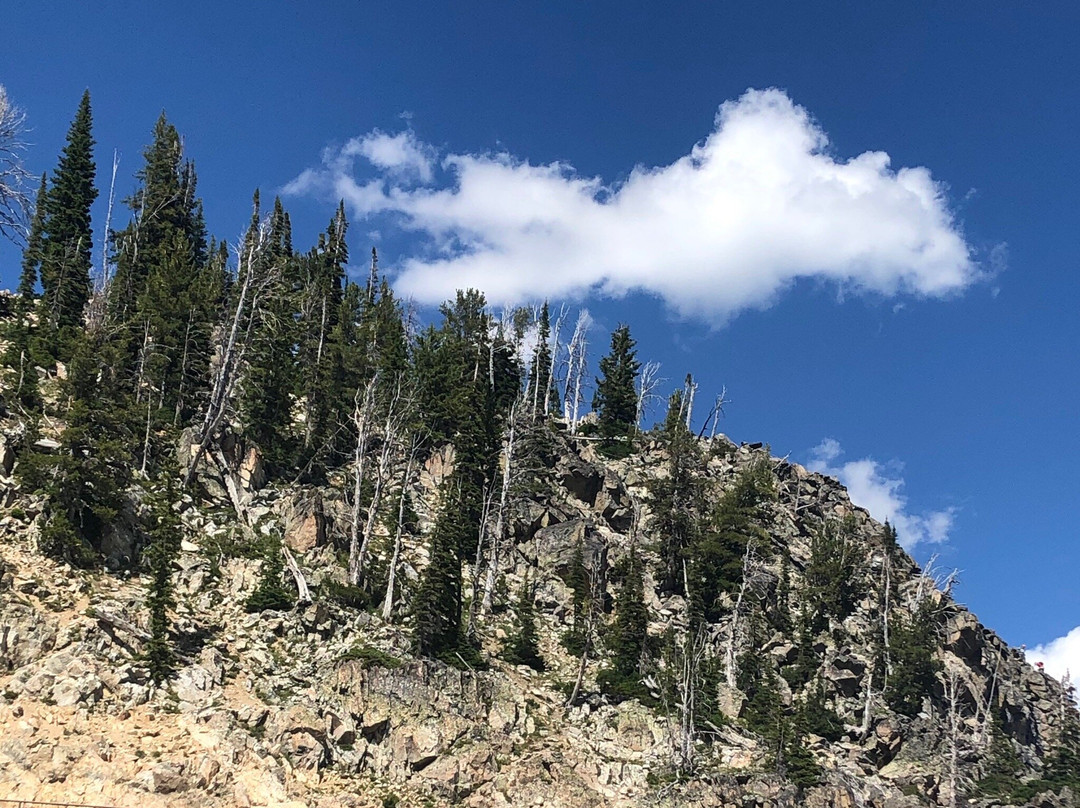 Bridger Gondola-提顿村必去景点