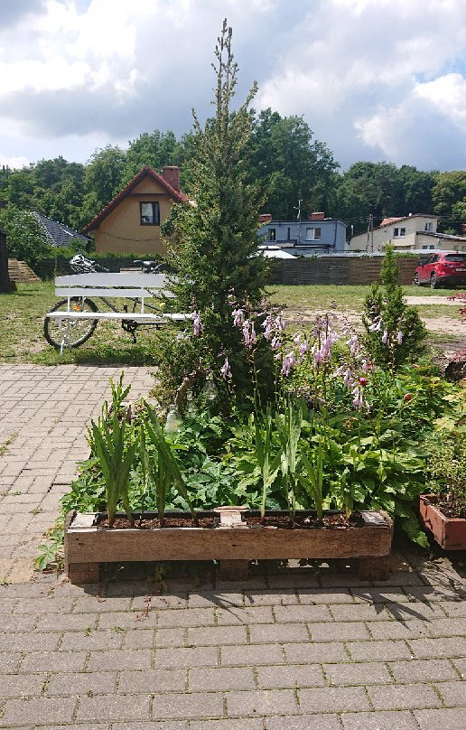 Tanowo旅游攻略图片