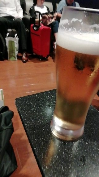 Matsuyama Airport Sky Lounge-松山市必去景点