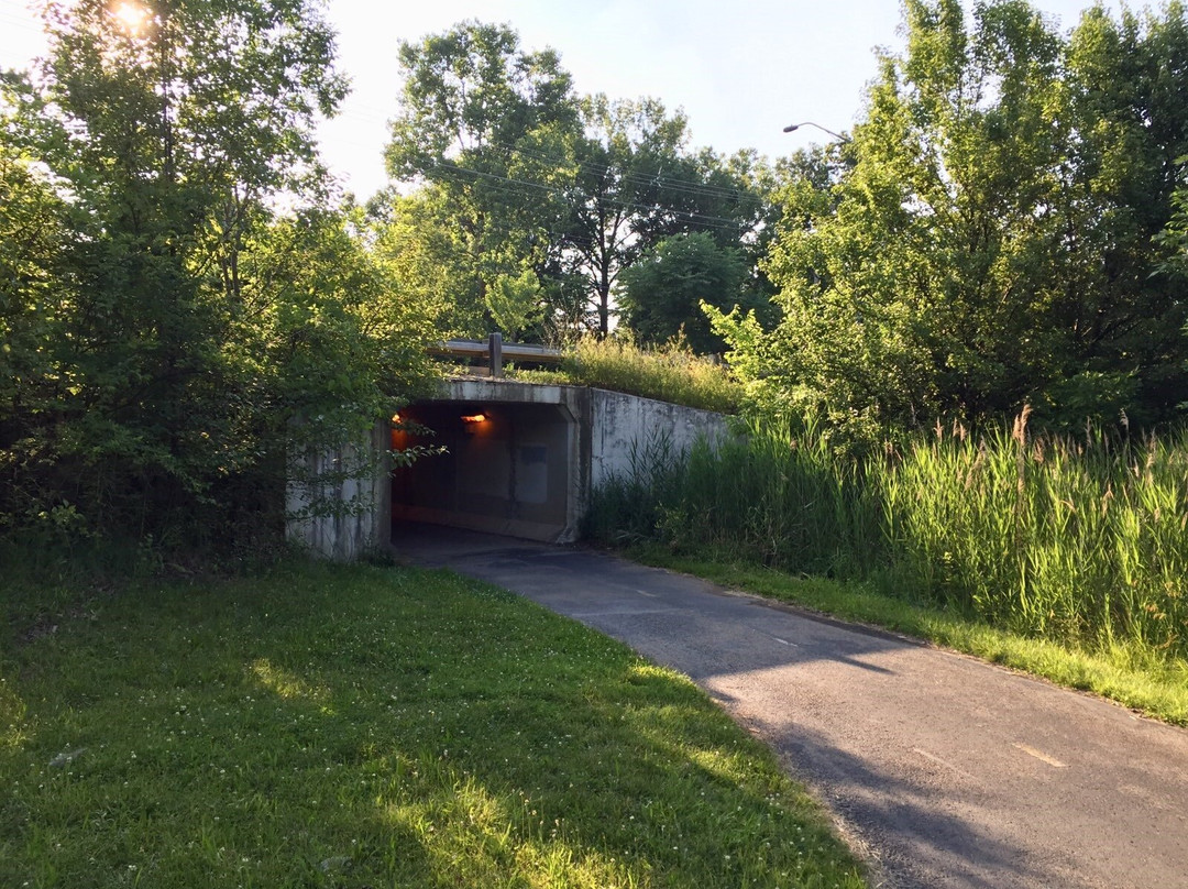 Big Walnut Trail-韦斯特维尔必去景点